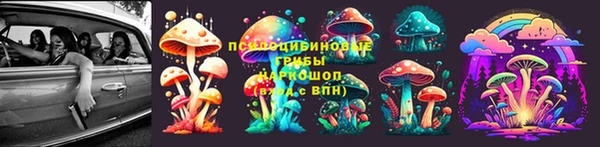 гидра Алзамай