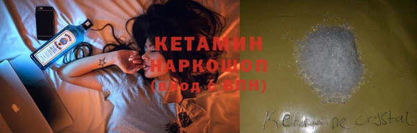 индика Алексин