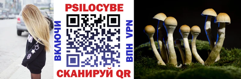 Галлюциногенные грибы MAGIC MUSHROOMS  МЕГА ССЫЛКА  Чебоксары  купить наркотики сайты 